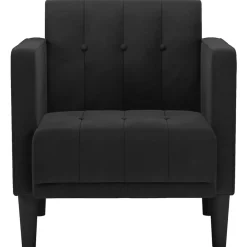 Stoelen*vidaXL Fauteuil met armleuningen 53 cm fluweel Zwart