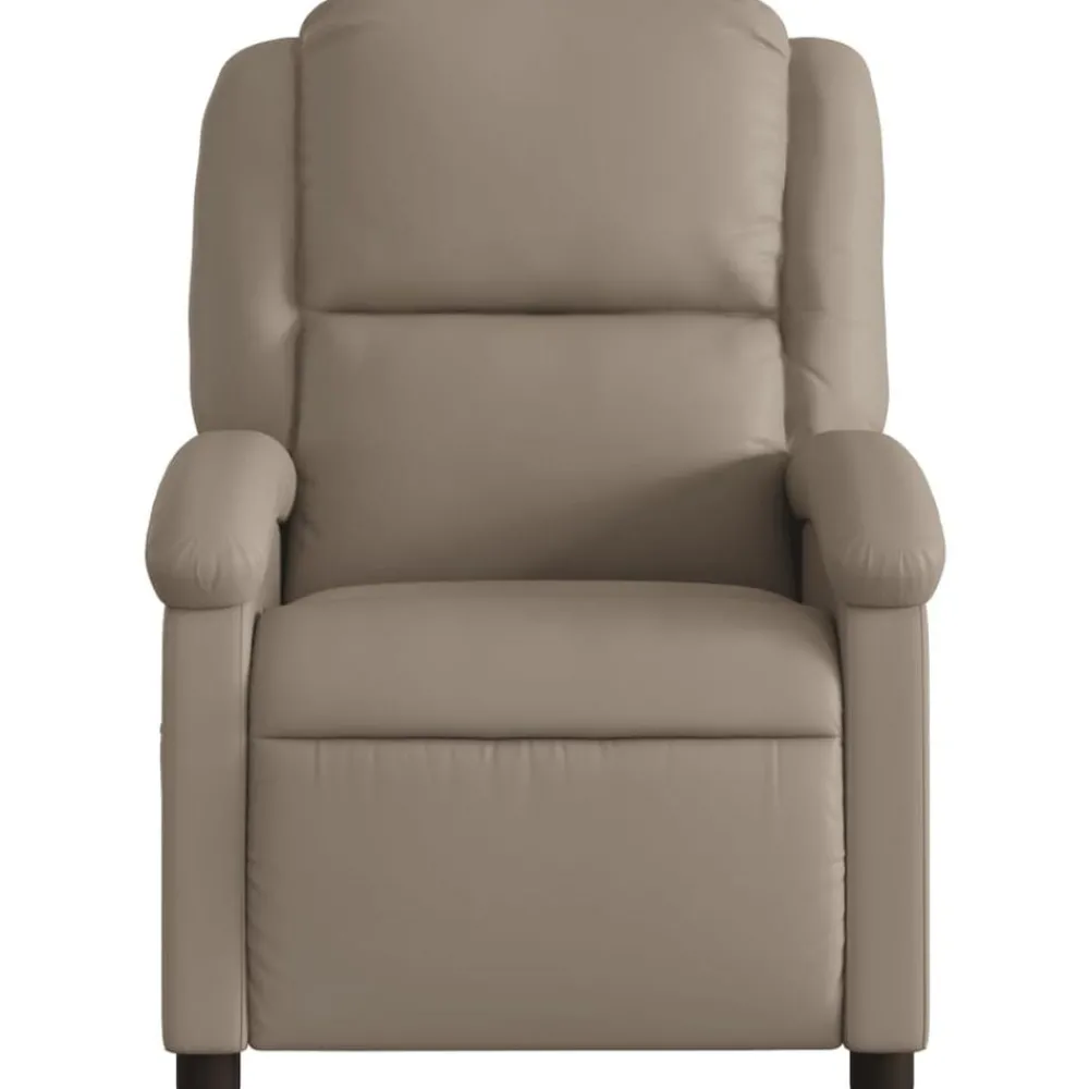 Fauteuil verstelbaar kunstleer kleurig>vidaXL Hot