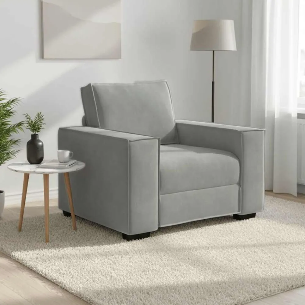 Banken*vidaXL Fauteuil 100x78x84 cm fluweel Lichtgrijs