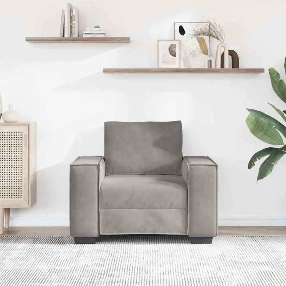 Banken*vidaXL Fauteuil 100x78x84 cm fluweel Lichtgrijs