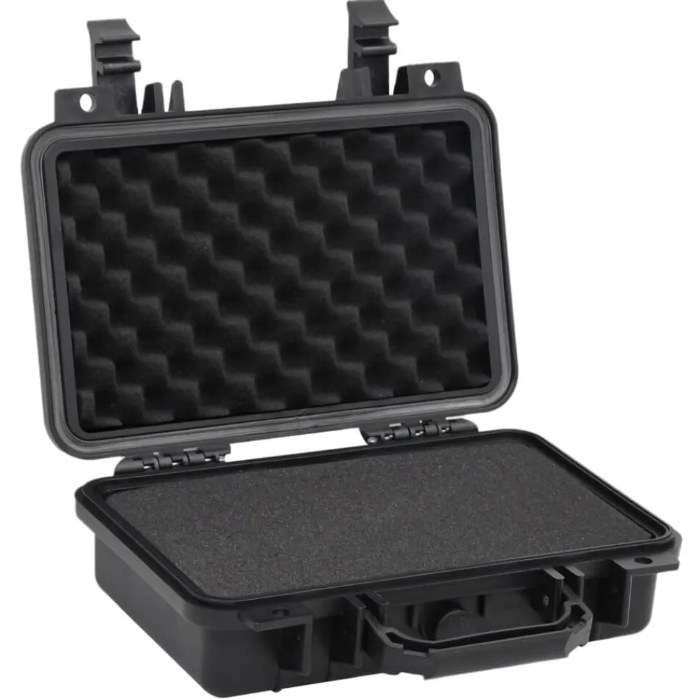 Flightcase draagbaar 30x22x10 cm PP zwart>vidaXL