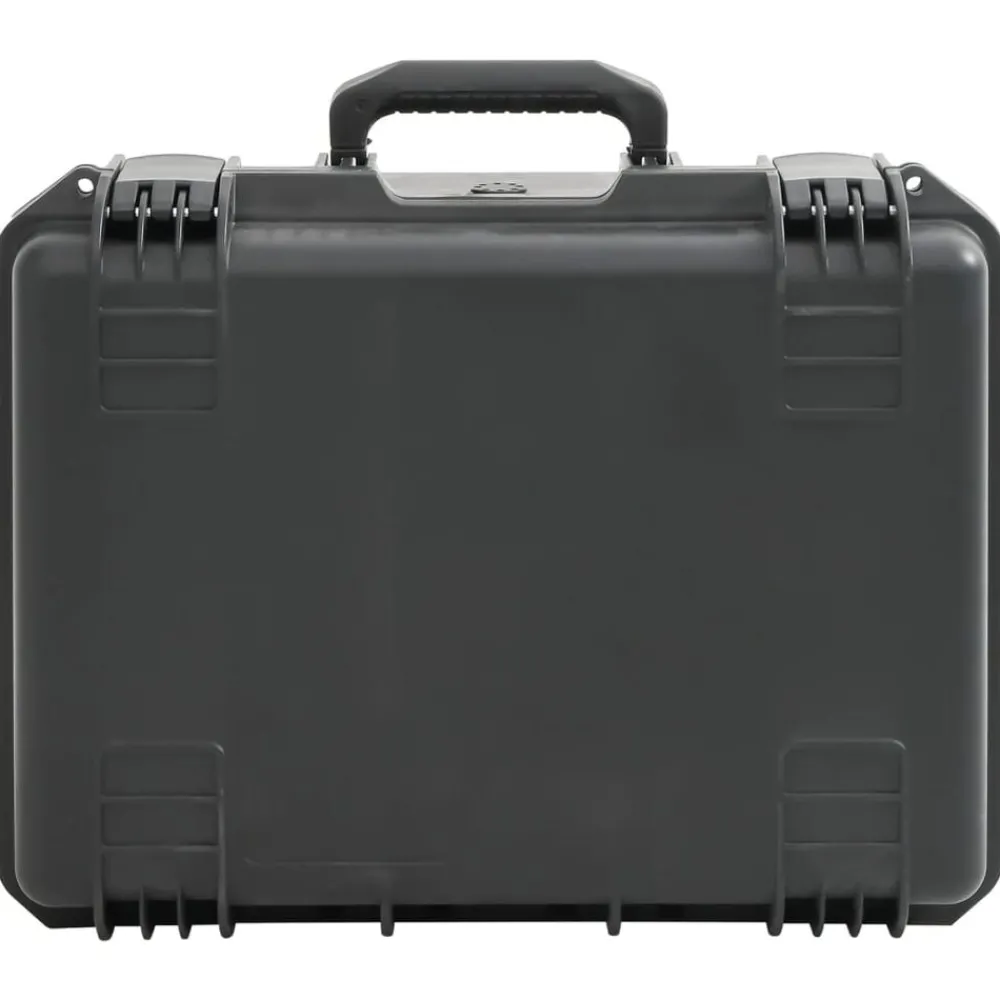 Camera & Optiek*vidaXL Flightcase draagbaar 49x38x23 cm PP zwart