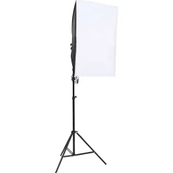 Camera & Optiek*vidaXL Fotostudioset met verlichtingsset en achtergrond