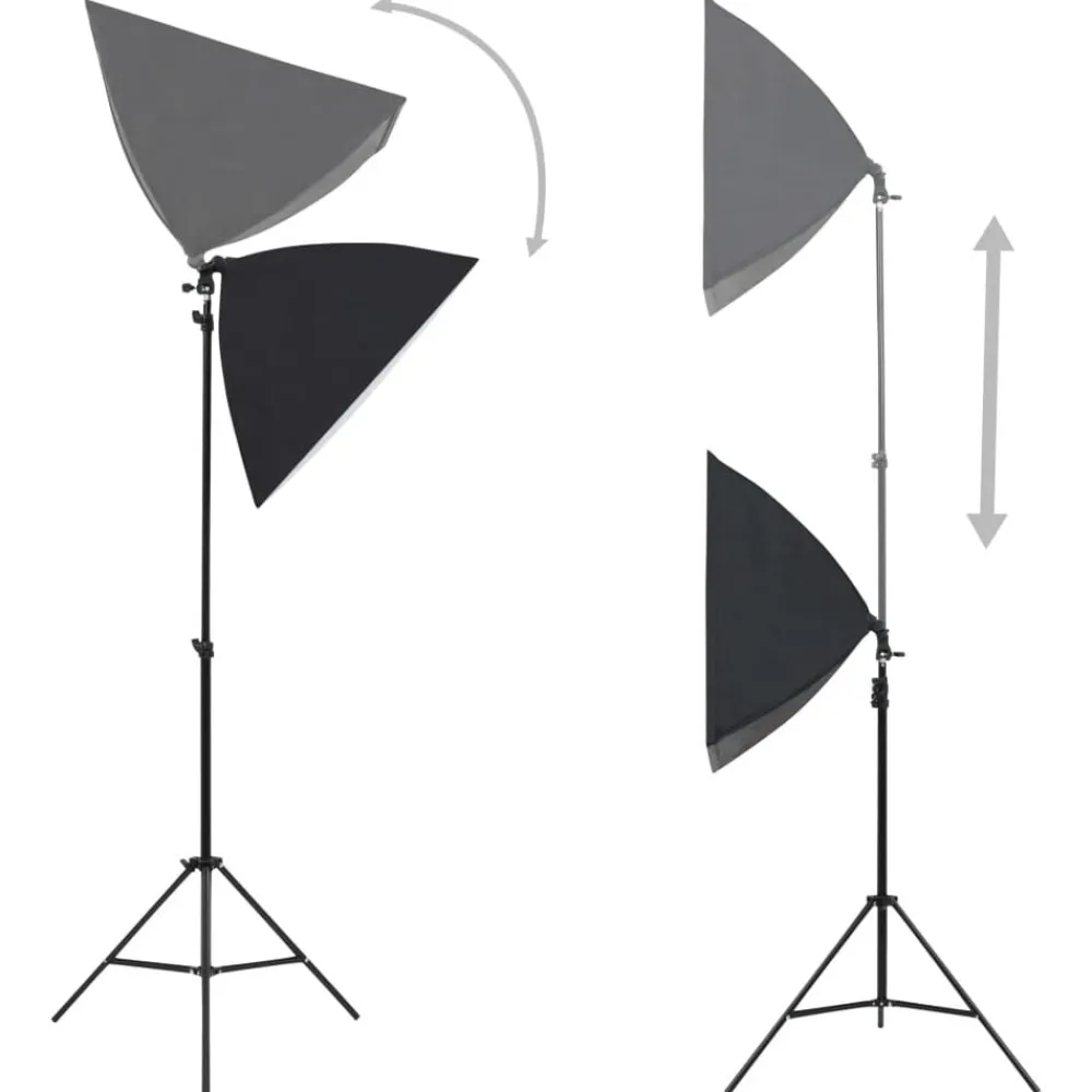 Camera & Optiek*vidaXL Fotostudioset met softboxlampen, achtergrond en reflector Zwart