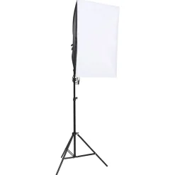 Camera & Optiek*vidaXL Fotostudioset met verlichtingsset en achtergrond