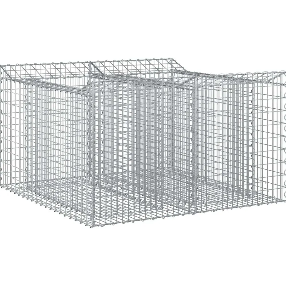 Tuinafscheidingen*vidaXL Gabion Verhoogd Bed Zilver 100 x 100 x 60 cm