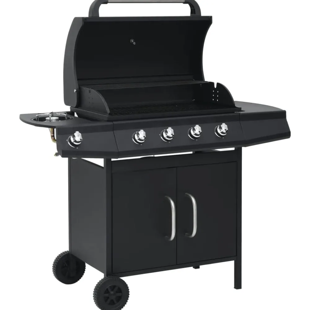 Gasbarbecue 4+1 kookzone staal>vidaXL Sale