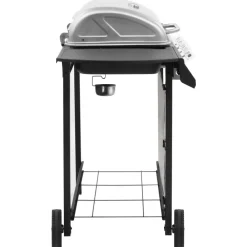 Gasbarbecue met 4 branders kleurig><noscript><img width=