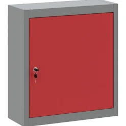 Bouwbeslag*vidaXL Gereedschapskast met plank en Grijs 50 x 20 x 55 cm Rood