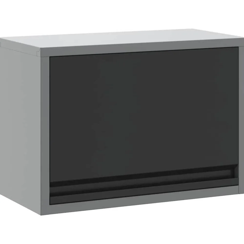 Bouwbeslag*vidaXL Gereedschapskast met opslag en Grijs 50 x 25 x 35 cm Zwart
