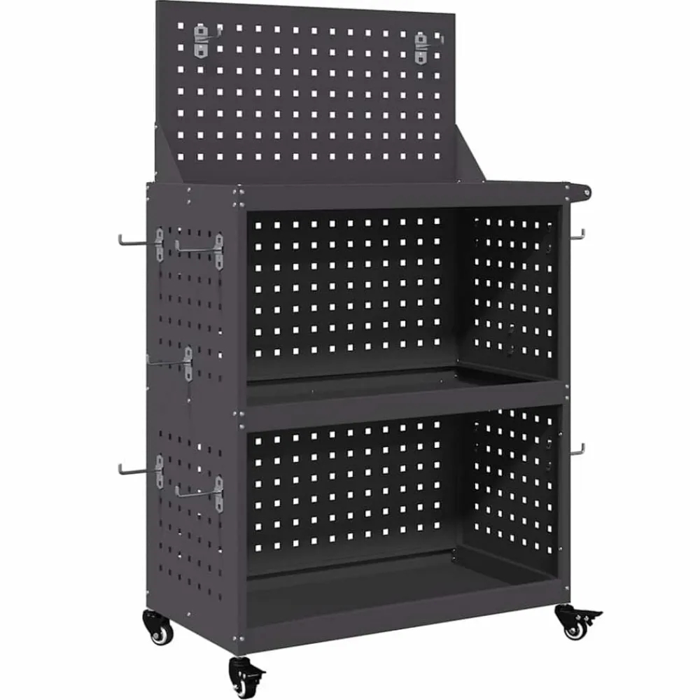 Gereedschapswagen 65 x 35 x 111 cm Koudgewalst staal>vidaXL Outlet