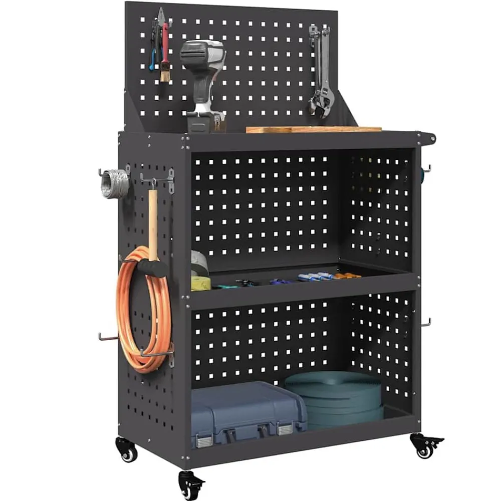 Gereedschapswagen 65 x 35 x 111 cm Koudgewalst staal>vidaXL Outlet
