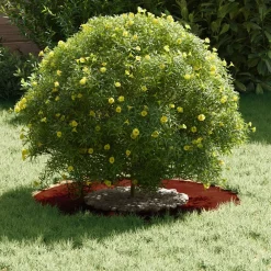 Tuin & Gazon*vidaXL geschikt voor platte boomring Bruin Ø30 / 60 cm Cortenstaal