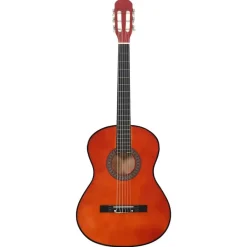Gitaar klassiek beginner 4/4 39