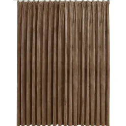Woon- & Tuinaccessoires*vidaXL Gordijn verduisterend met haken 290x245 cm fluweel Beige