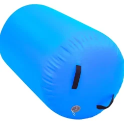 Fitness*vidaXL Gymnastiekrol met pomp opblaasbaar 100x60 cm PVC Blauw