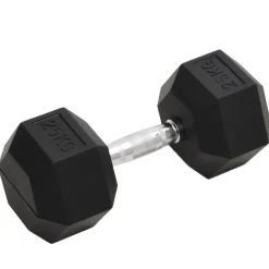 Fitness*vidaXL Halters 25 kg gietijzer
