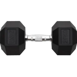 Fitness*vidaXL Halters 25 kg gietijzer