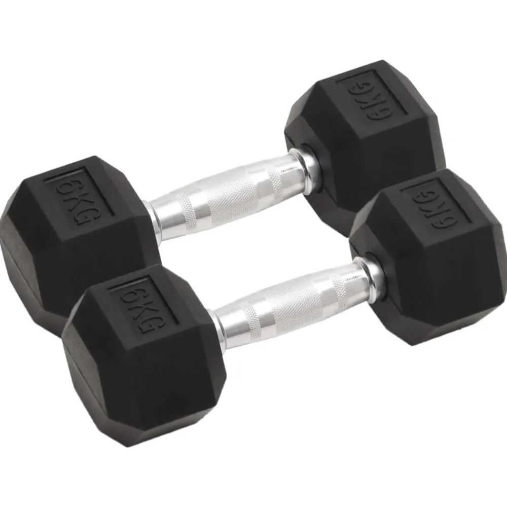 Fitness*vidaXL Halters 2 st 12 kg totaal gietijzer
