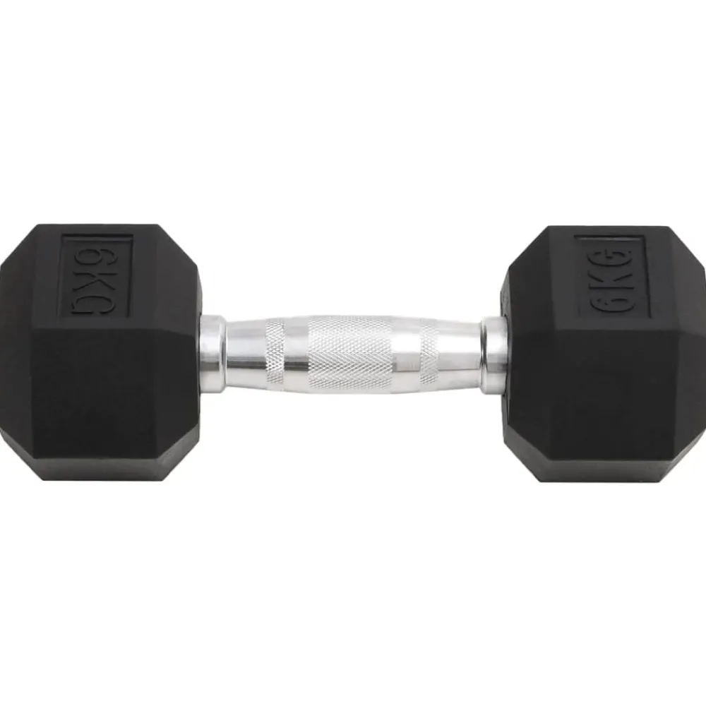 Fitness*vidaXL Halters 2 st 12 kg totaal gietijzer