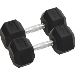 Fitness*vidaXL Halters 2 st 25 kg totaal gietijzer