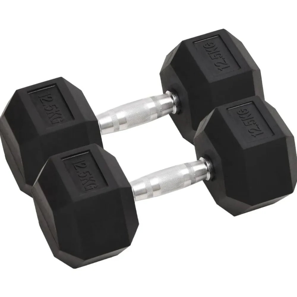 Fitness*vidaXL Halters 2 st 25 kg totaal gietijzer