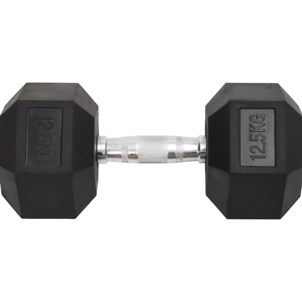 Fitness*vidaXL Halters 2 st 25 kg totaal gietijzer