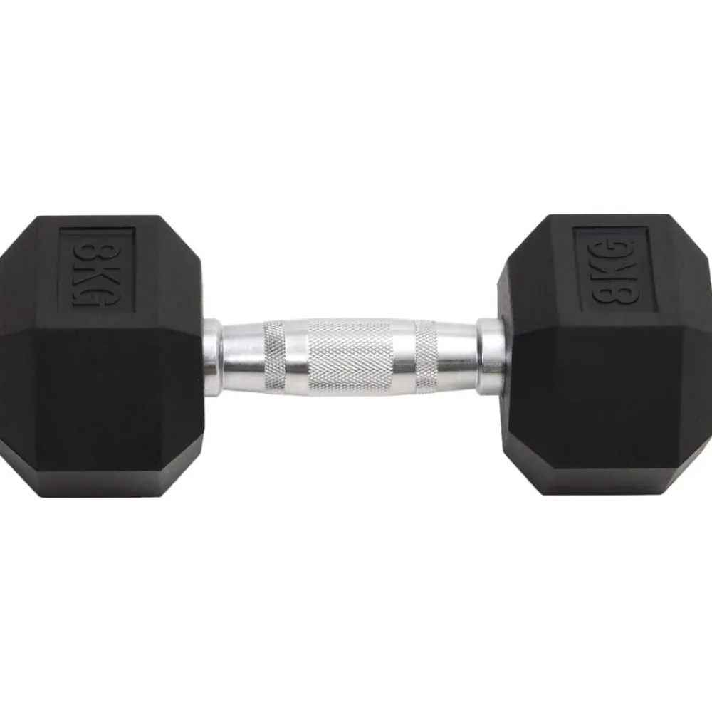 Halters 2 st 16 kg totaal gietijzer>vidaXL Online