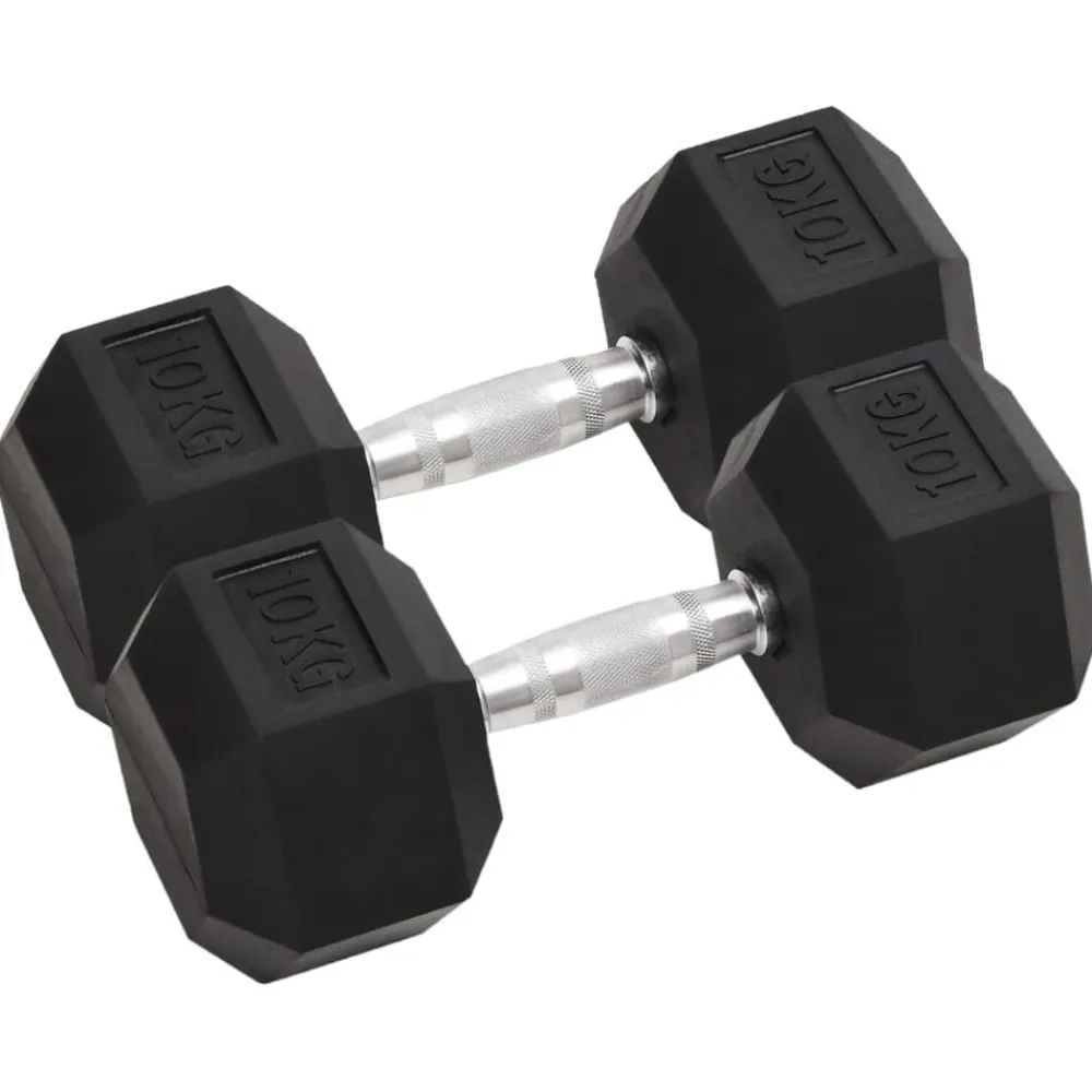 Fitness*vidaXL Halters 2 st 20 kg totaal gietijzer