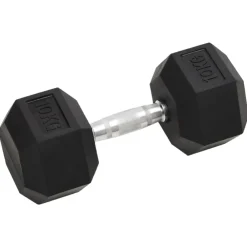 Fitness*vidaXL Halters 2 st 20 kg totaal gietijzer