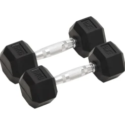 Fitness*vidaXL Halters 2 st 10 kg totaal gietijzer