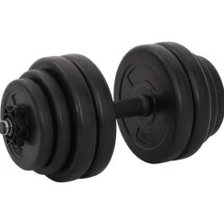 Fitness*vidaXL Halters 2x15 kg
