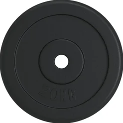 Fitness*vidaXL Halterschijf 20 kg gietijzer