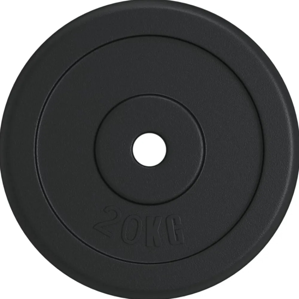 Fitness*vidaXL Halterschijf 20 kg gietijzer