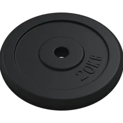 Fitness*vidaXL Halterschijf 20 kg gietijzer