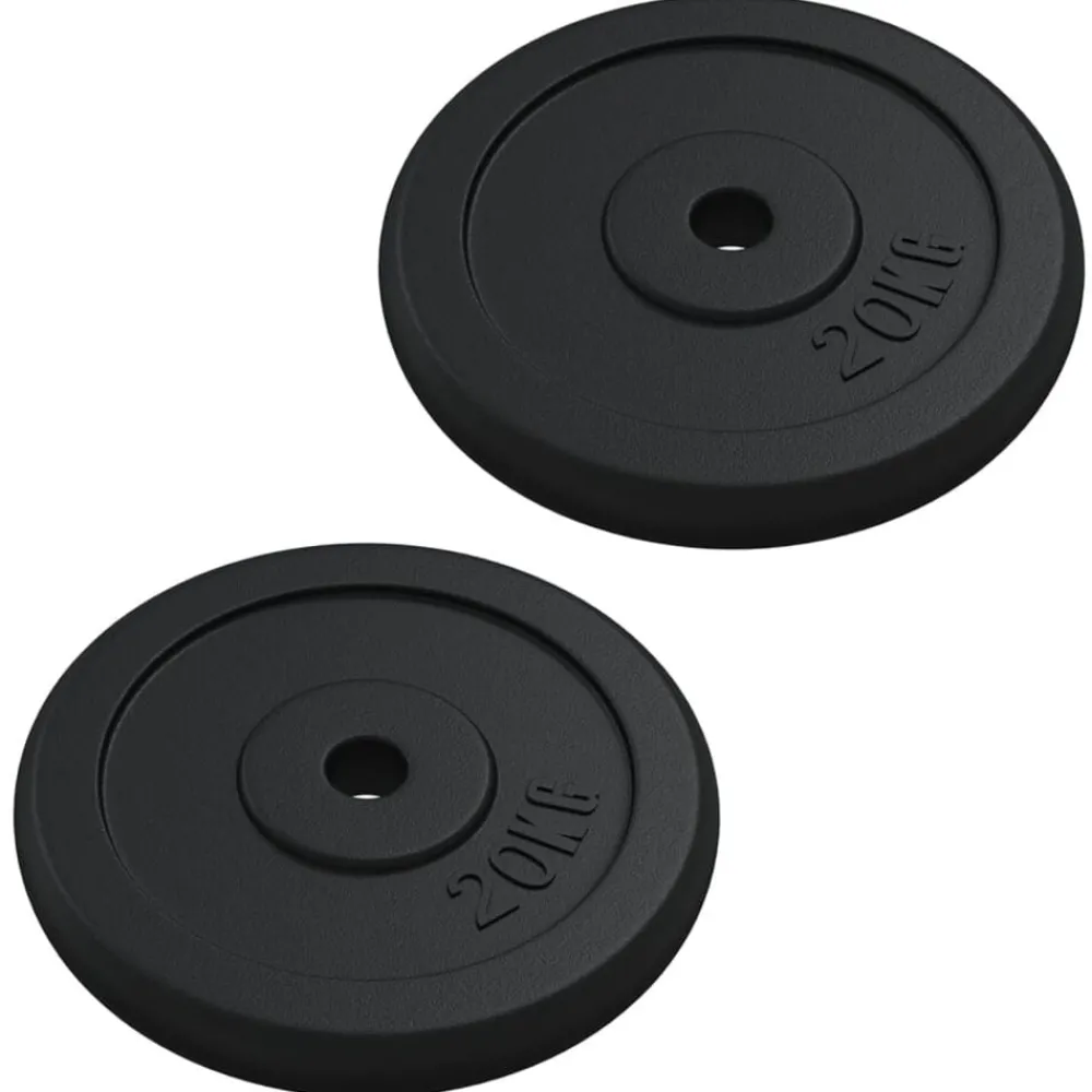 Fitness*vidaXL Halterschijf 40 kg gietijzer