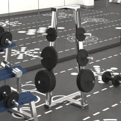 Fitness*vidaXL Halterschijf 40 kg gietijzer