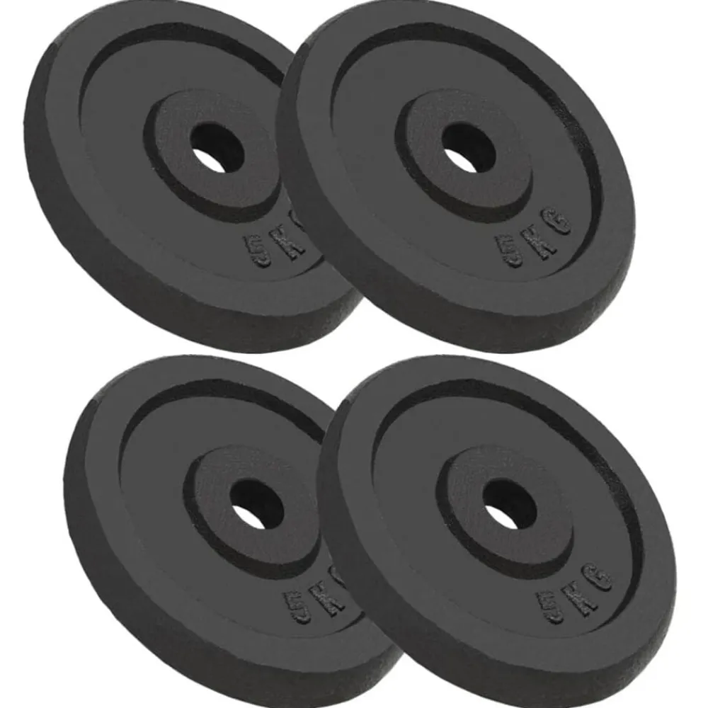 Fitness*vidaXL Halterschijven 4 st 4x5 kg gietijzer