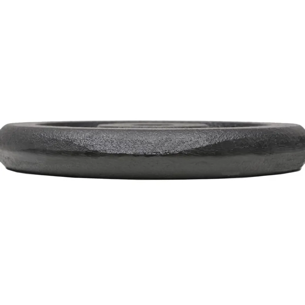 Fitness*vidaXL Halterschijven 4 st 4x5 kg gietijzer