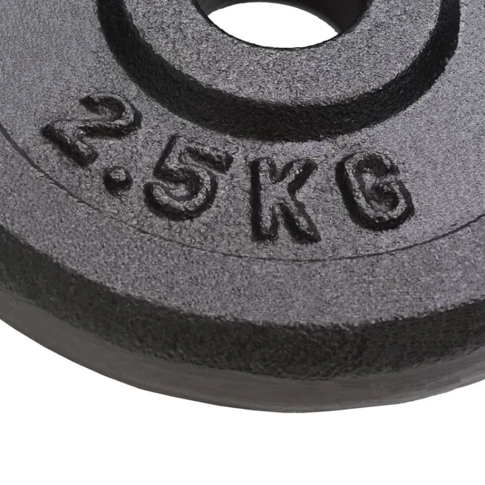 Halterschijven 8 st 8x2,5 kg gietijzer>vidaXL Outlet
