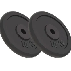 Halterschijven 2 st 2x10 kg gietijzer>vidaXL Discount