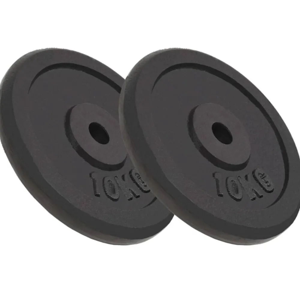 Halterschijven 2 st 2x10 kg gietijzer>vidaXL Discount
