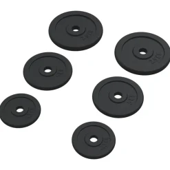 Halterschijven 6 st 30 kg gietijzer>vidaXL Sale