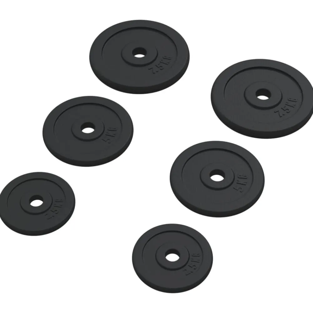 Halterschijven 6 st 30 kg gietijzer>vidaXL Sale