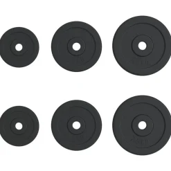 Halterschijven 6 st 30 kg gietijzer><noscript><img width=
