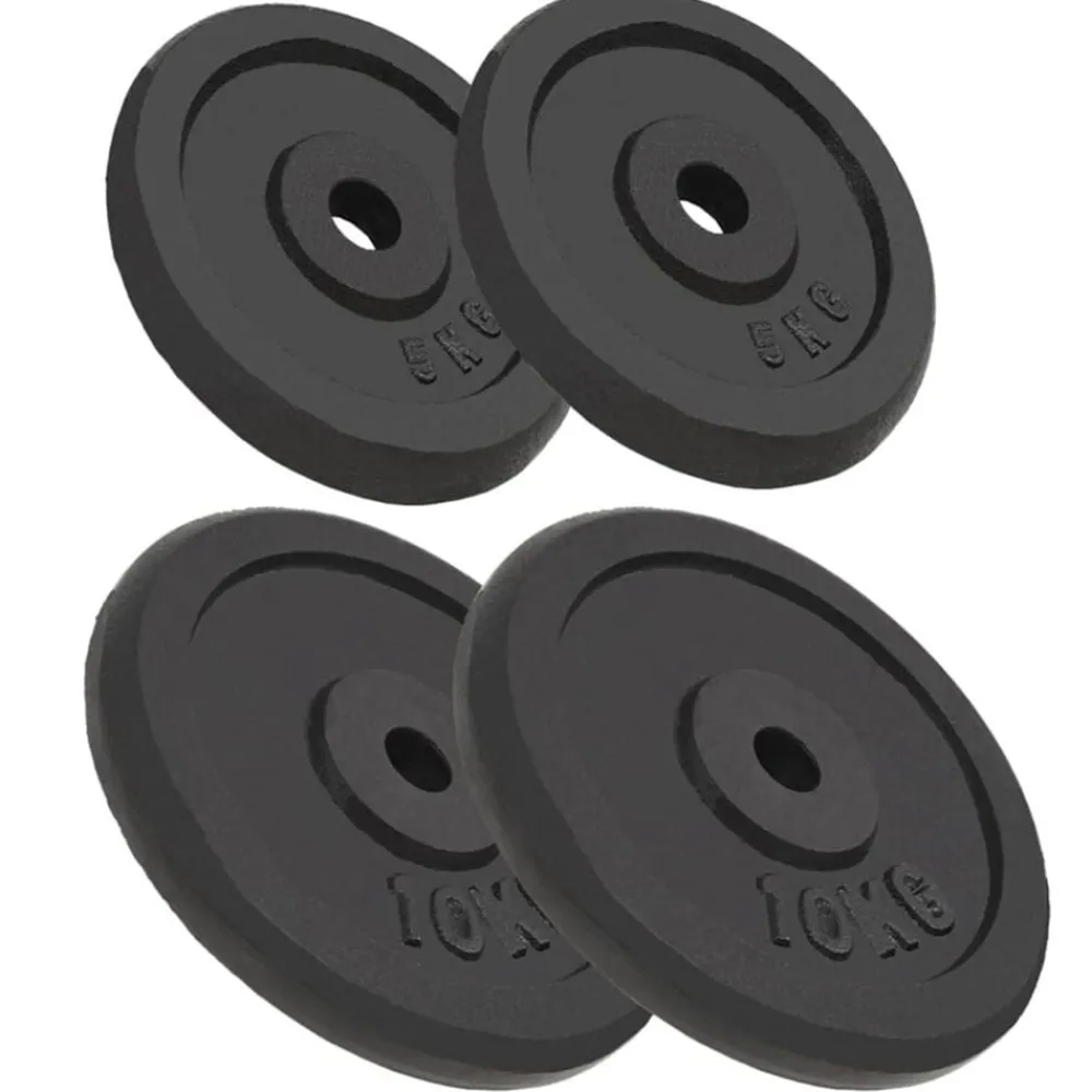 Fitness*vidaXL Halterschijven 4 st 2x10 kg en 2x5 kg gietijzer