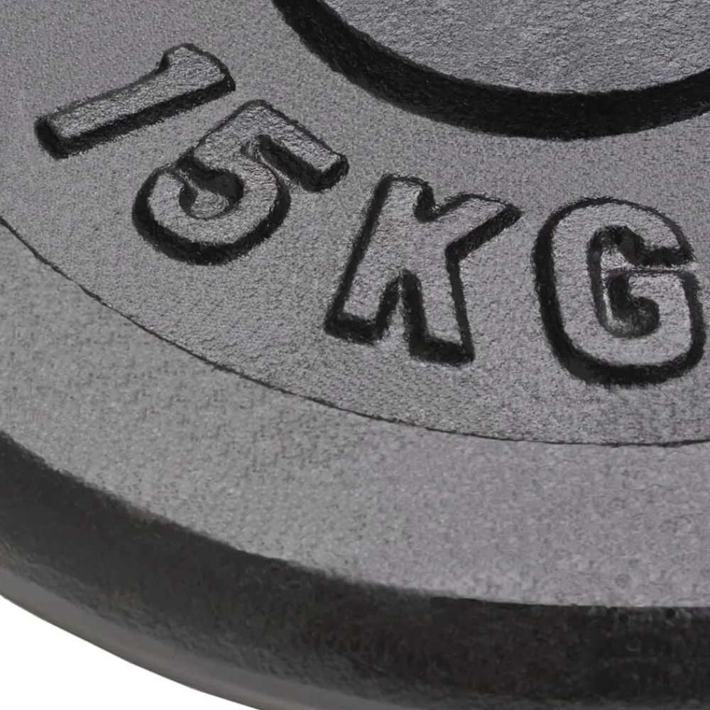 Halterschijven 2 st 2x15 kg gietijzer>vidaXL Discount