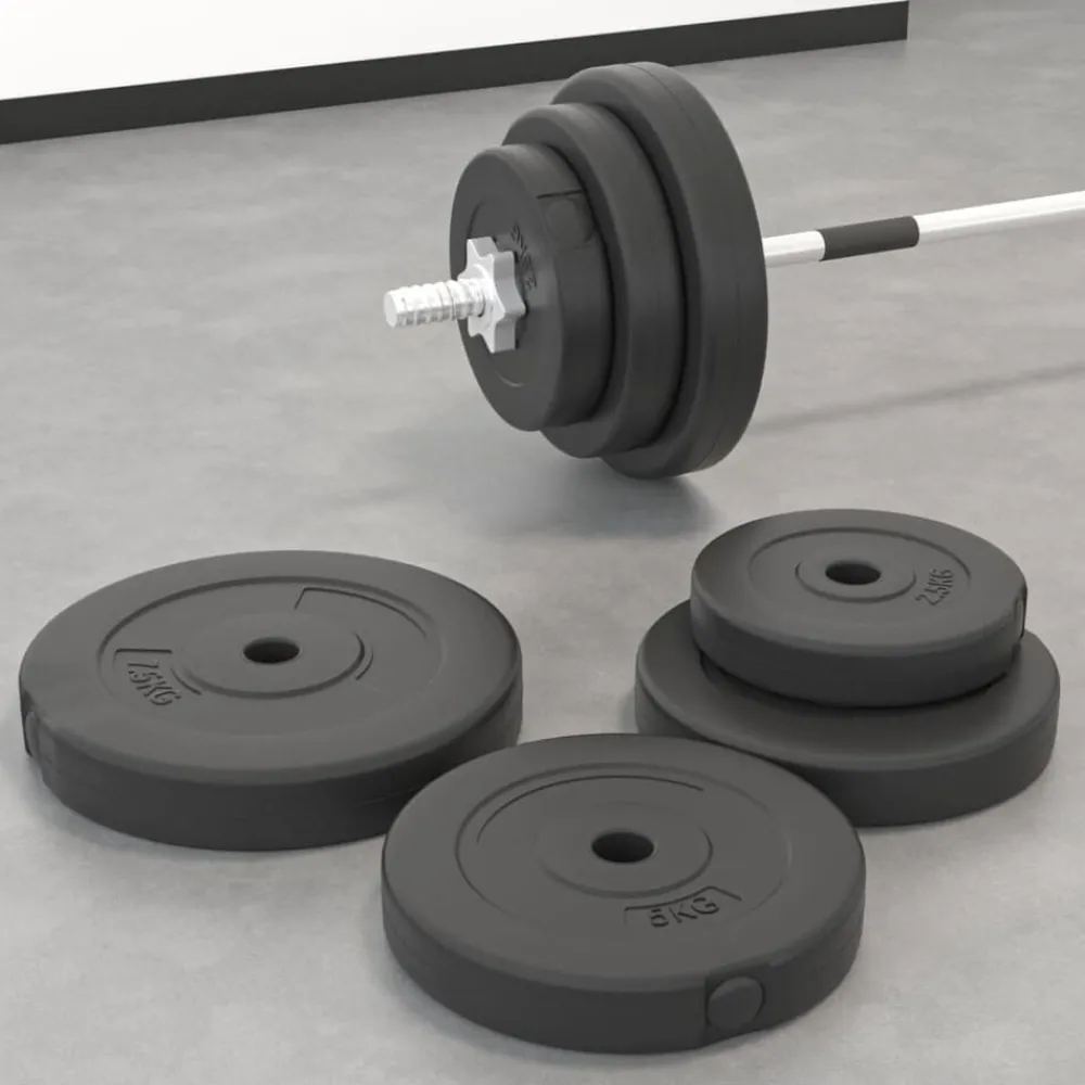 Halterschijven 6 st 30 kg cement>vidaXL Best