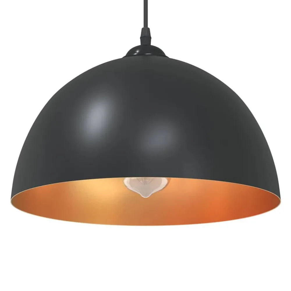 Verlichting*vidaXL Hanglampen 2 st In hoogte verstelbaar E27 30 cm metaal Zwart