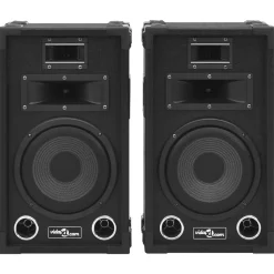Elektronica*vidaXL Hifi-podiumluidsprekers 2 st passief professioneel 800 W zwart